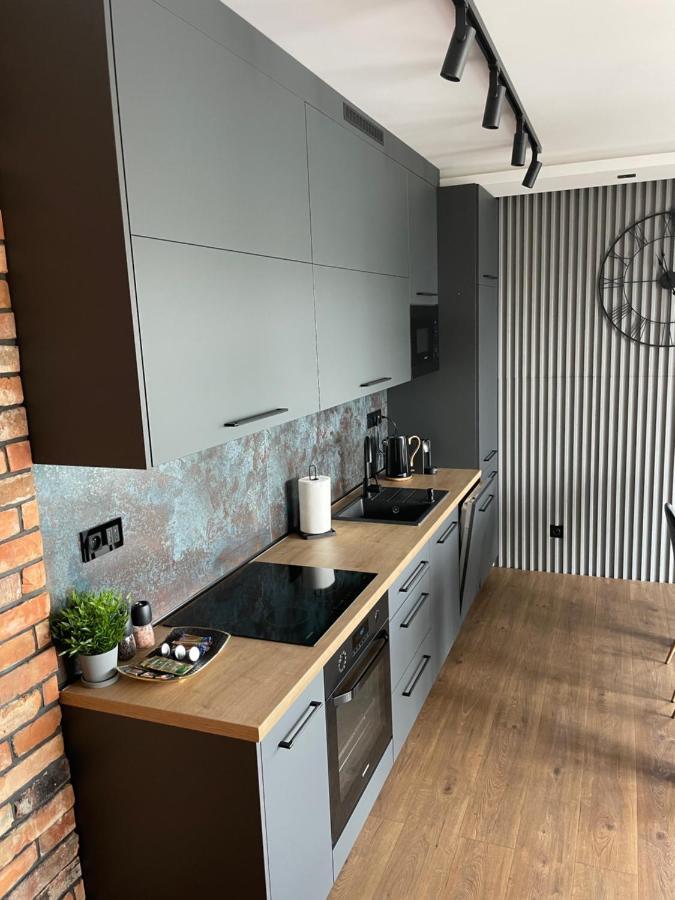 Apartament Grey Love W Czeladzi, Fv, 8Km Do Katowic エクステリア 写真
