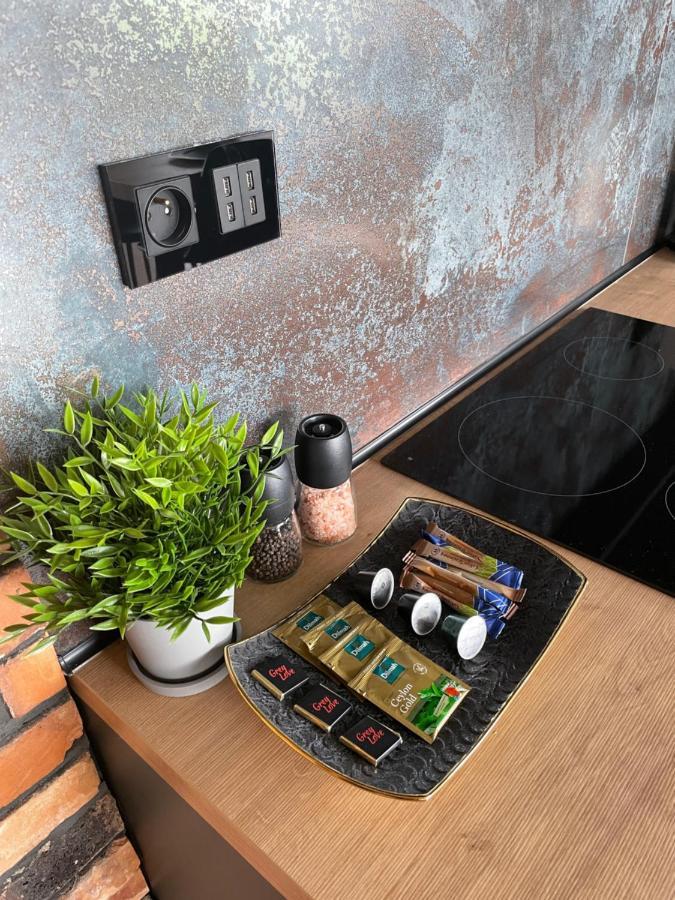 Apartament Grey Love W Czeladzi, Fv, 8Km Do Katowic エクステリア 写真